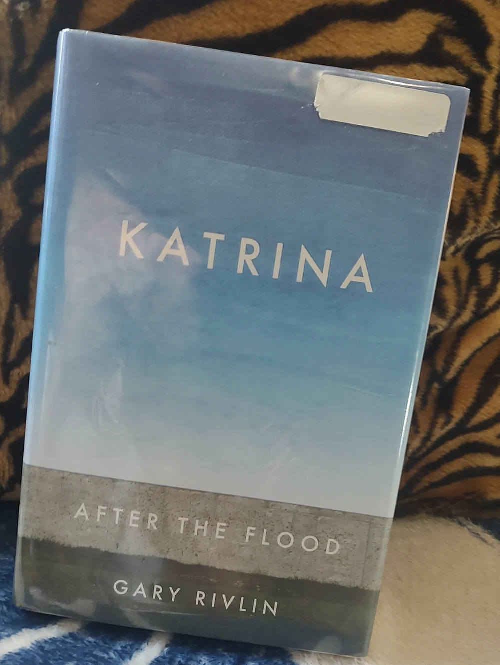 KATRINA: After the Flood by Gary Rivlin - Hardcover